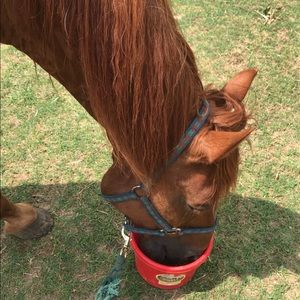 Meet your Posher, Rayelle